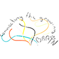 Connecting the growing brain