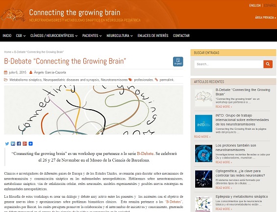 Workshop «Connecting the Growing Brain»