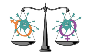 Plan de Igualdad De Neu